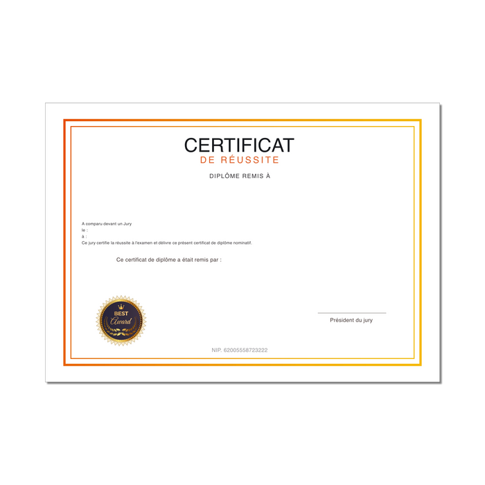 My blank diploma or fake diploma personalized modern diploma