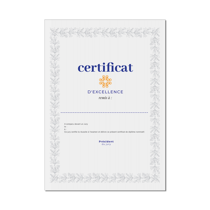 My blank diploma or fake personalized diploma model, diploma level of study