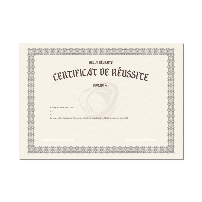 Mon diplome vierge : faux diplome personnalisé, Diplome universitaire