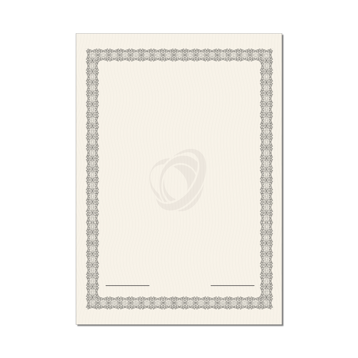 Mon diplome vierge : faux diplome personnalisé, Diplome universitaire