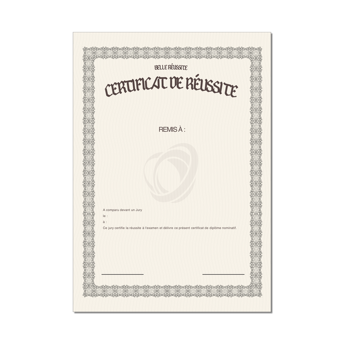 Mon diplome vierge : faux diplome personnalisé, Diplome universitaire
