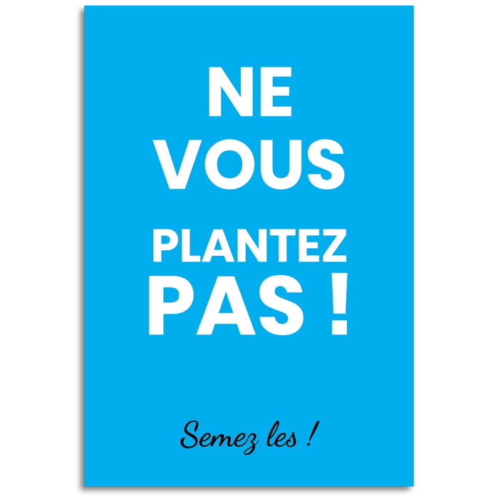 Sachet de graine personnalisé moderne uni bleu-ciel