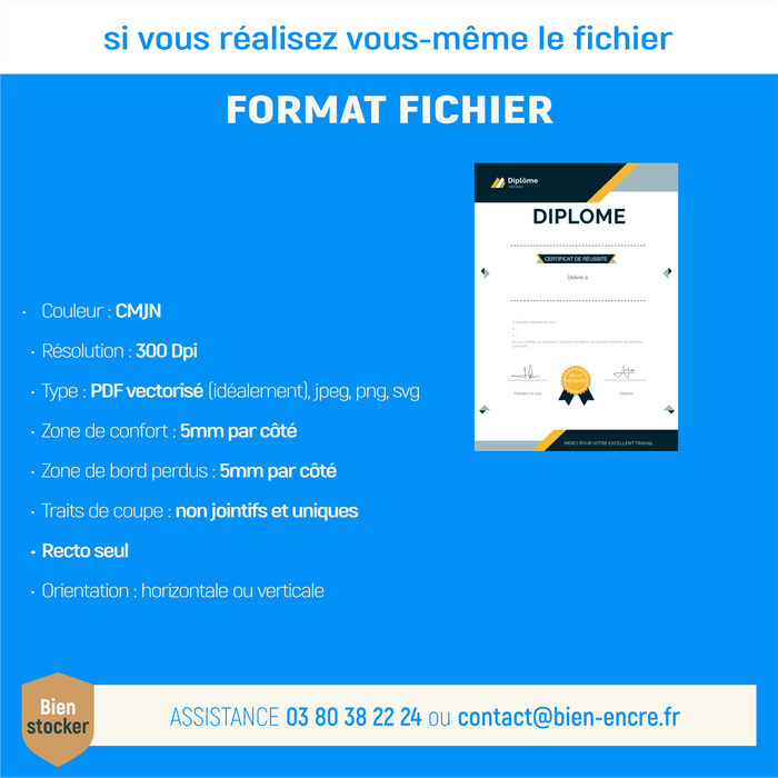 Mon diplome vierge : faux diplome personnalisé DIPLOME NIVEAU 1 - Bien-stocker
