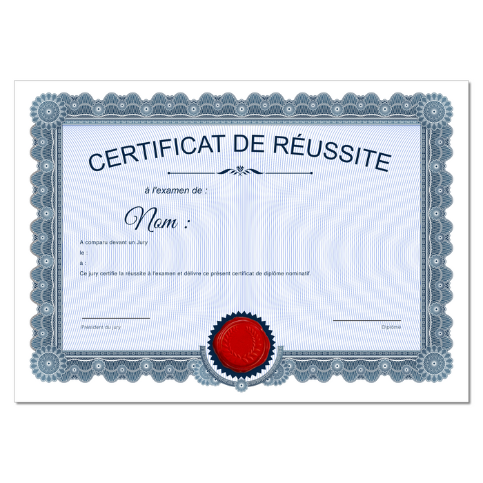 Mon diplome vierge : faux diplome personnalisé ancien bleu - Bien-stocker