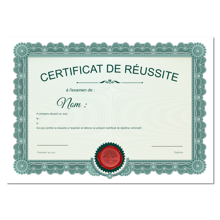 Mon diplome vierge : faux diplome personnalisé ancien vert - Bien-stocker