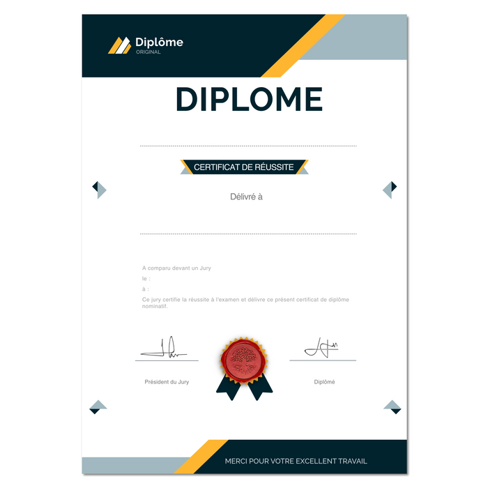 Mon diplome vierge : faux diplome personnalisé DIPLOME NIVEAU 1 - Bien-stocker