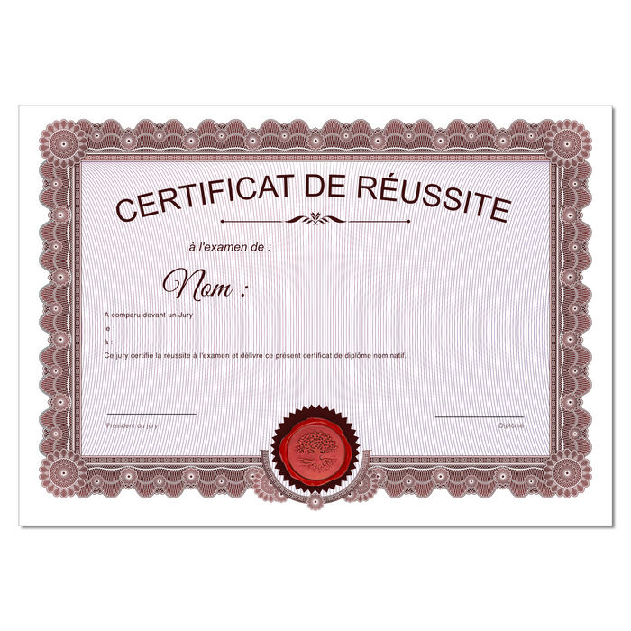 Mon diplome vierge : faux diplome personnalisé ancien rouge - Bien-stocker