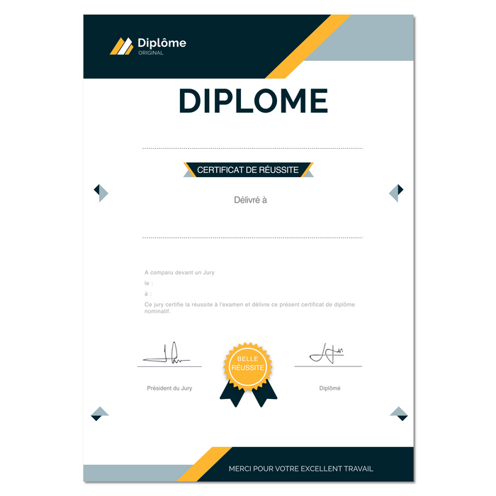 Mon diplome vierge : faux diplome personnalisé DIPLOME NIVEAU 1 - Bien-stocker