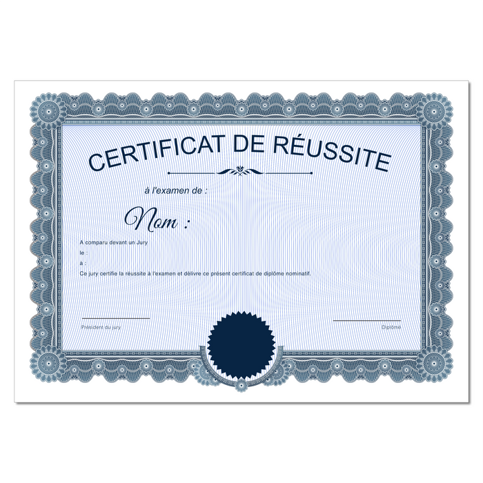 Mon diplome vierge : faux diplome personnalisé ancien bleu - Bien-stocker