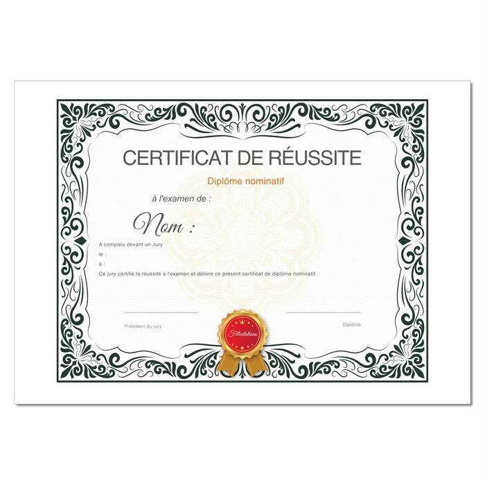 Mon diplome vierge : faux diplome personnalisé, faux diplom art - Bien-stocker