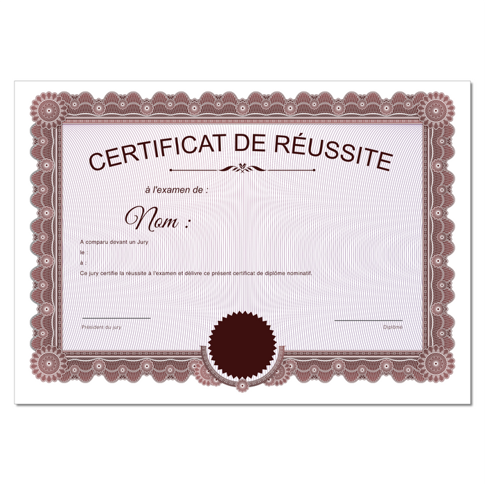 Mon diplome vierge : faux diplome personnalisé ancien rouge - Bien-stocker