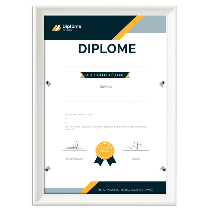 Mon diplome vierge : faux diplome personnalisé DIPLOME NIVEAU 1 - Bien-stocker