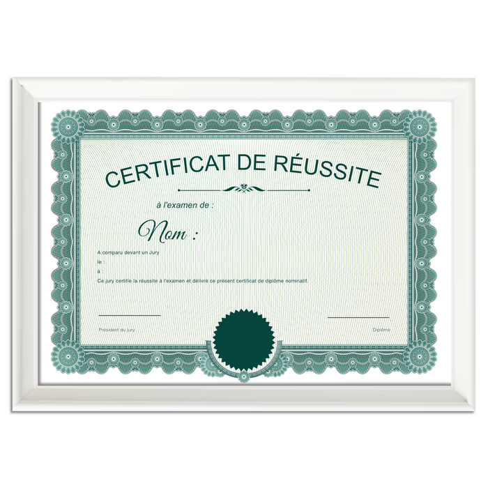 Mon diplome vierge : faux diplome personnalisé ancien vert - Bien-stocker