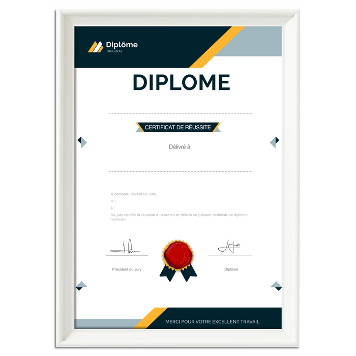 Mon diplome vierge : faux diplome personnalisé DIPLOME NIVEAU 1 - Bien-stocker