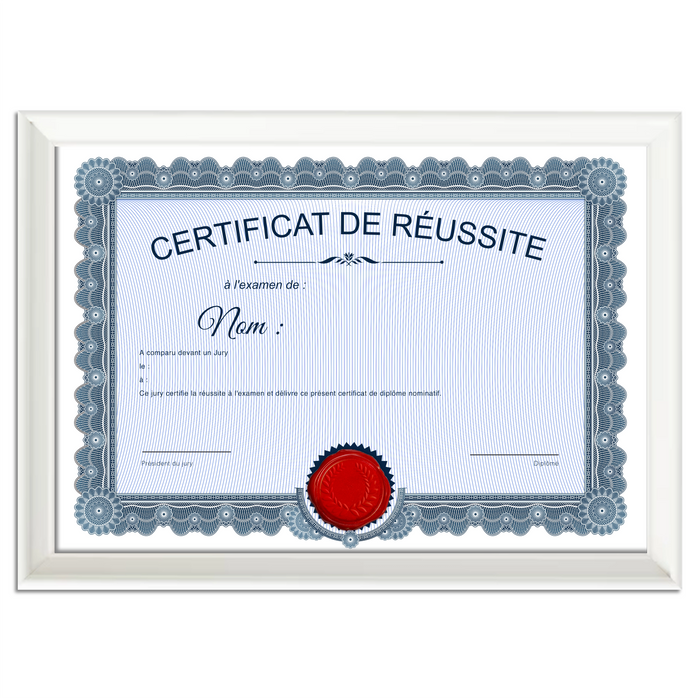 Mon diplome vierge : faux diplome personnalisé ancien bleu - Bien-stocker