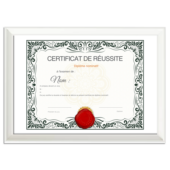 Mon diplome vierge : faux diplome personnalisé, faux diplom art - Bien-stocker