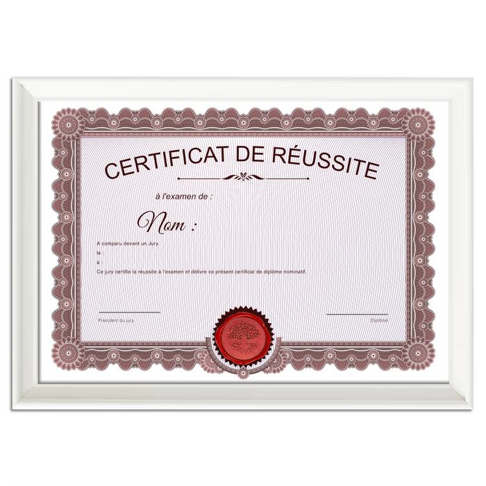 Mon diplome vierge : faux diplome personnalisé ancien rouge - Bien-stocker