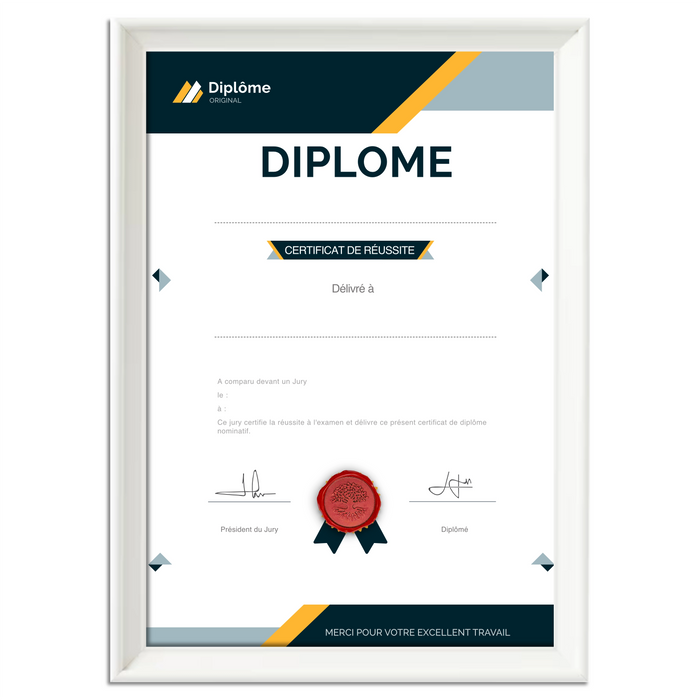 Mon diplome vierge : faux diplome personnalisé DIPLOME NIVEAU 1 - Bien-stocker