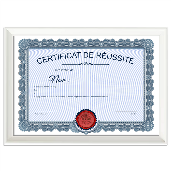 Mon diplome vierge : faux diplome personnalisé ancien bleu - Bien-stocker