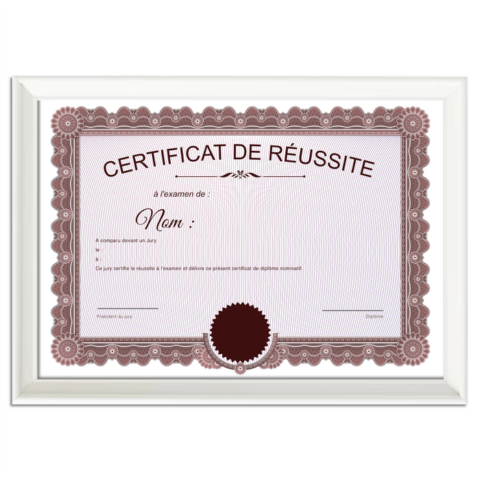 Mon diplome vierge : faux diplome personnalisé ancien rouge - Bien-stocker