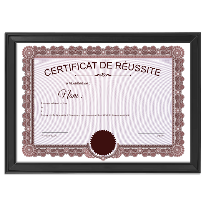 Mon diplome vierge : faux diplome personnalisé ancien rouge - Bien-stocker