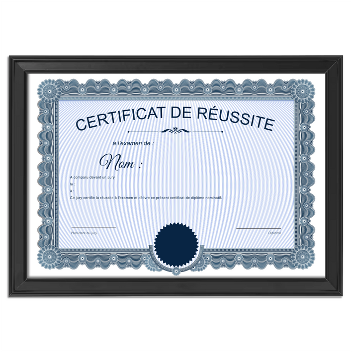 Mon diplome vierge : faux diplome personnalisé ancien bleu - Bien-stocker