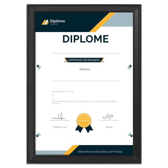 Mon diplome vierge : faux diplome personnalisé DIPLOME NIVEAU 1 - Bien-stocker