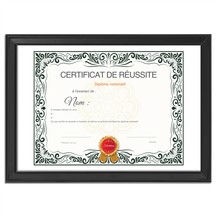 Mon diplome vierge : faux diplome personnalisé, faux diplom art - Bien-stocker