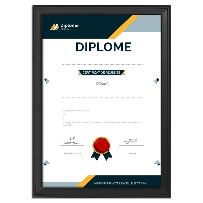 Mon diplome vierge : faux diplome personnalisé DIPLOME NIVEAU 1 - Bien-stocker