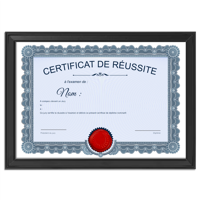 Mon diplome vierge : faux diplome personnalisé ancien bleu - Bien-stocker