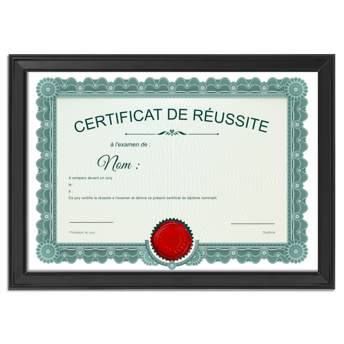 Mon diplome vierge : faux diplome personnalisé ancien vert - Bien-stocker