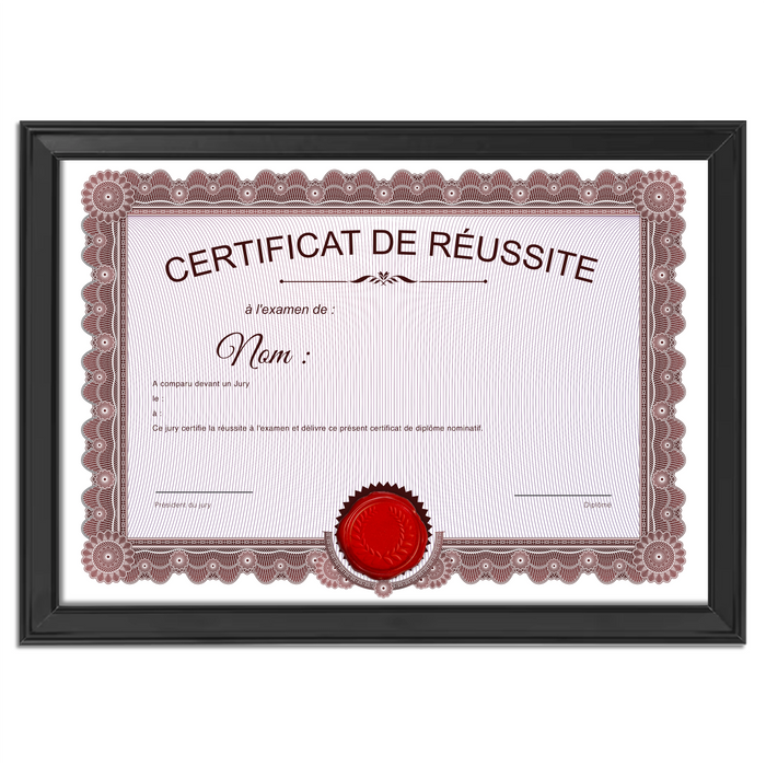 Mon diplome vierge : faux diplome personnalisé ancien rouge - Bien-stocker