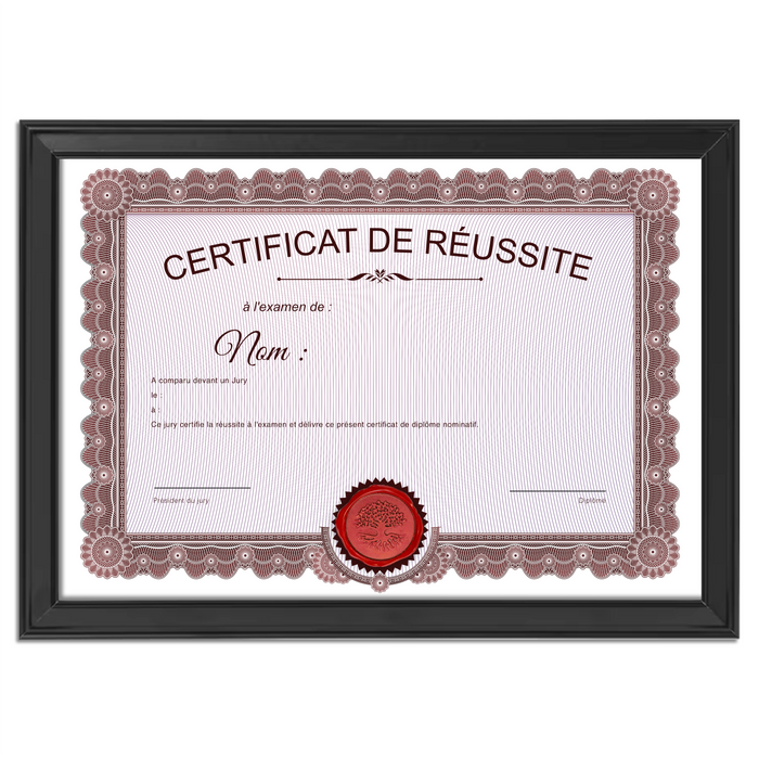 Mon diplome vierge : faux diplome personnalisé ancien rouge - Bien-stocker