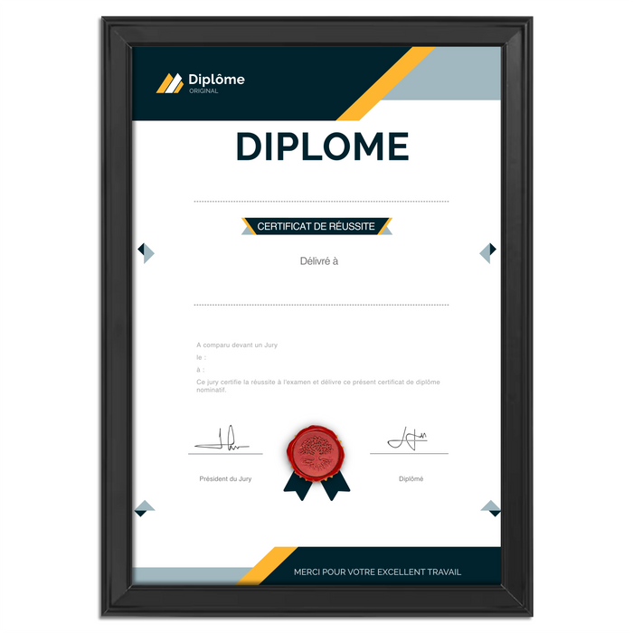 Mon diplome vierge : faux diplome personnalisé DIPLOME NIVEAU 1 - Bien-stocker