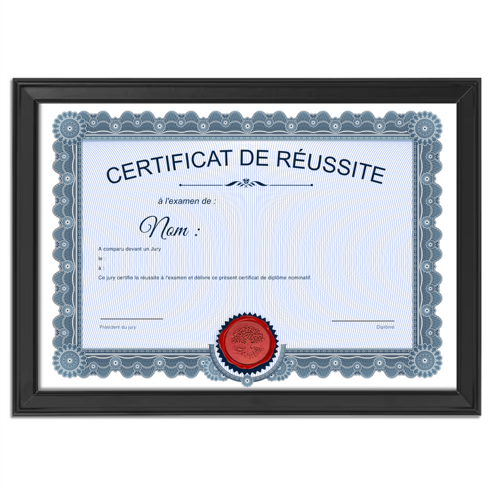 Mon diplome vierge : faux diplome personnalisé ancien bleu - Bien-stocker