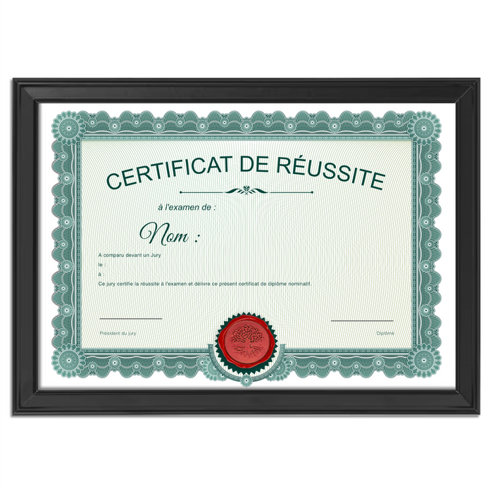 Mon diplome vierge : faux diplome personnalisé ancien vert - Bien-stocker