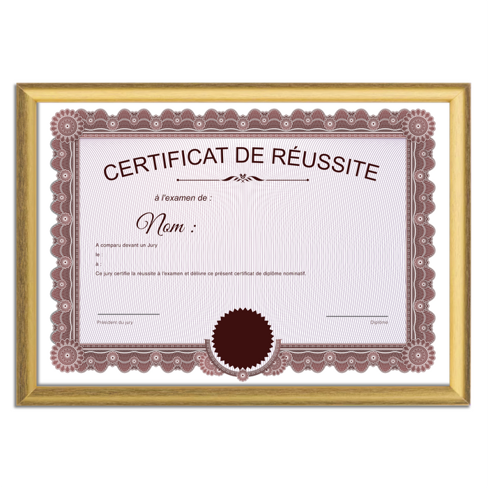 Mon diplome vierge : faux diplome personnalisé ancien rouge - Bien-stocker