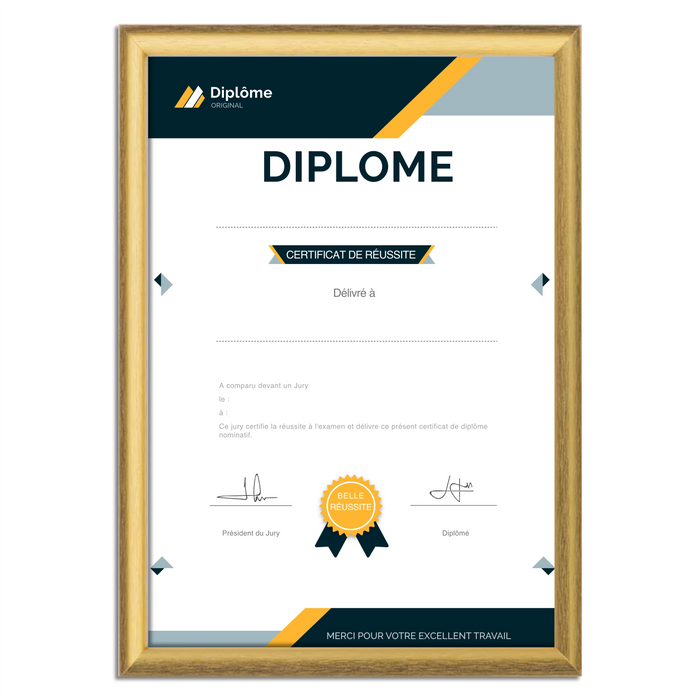 Mon diplome vierge : faux diplome personnalisé DIPLOME NIVEAU 1 - Bien-stocker