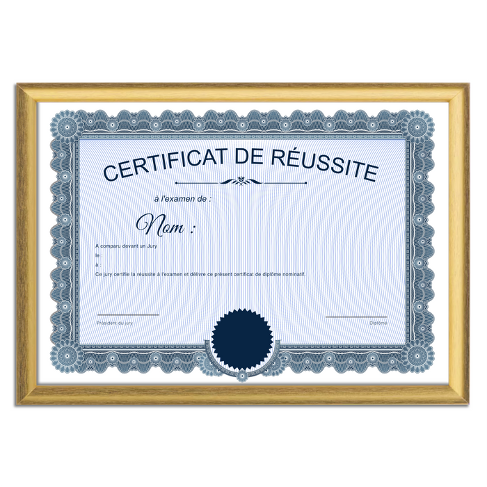 Mon diplome vierge : faux diplome personnalisé ancien bleu - Bien-stocker