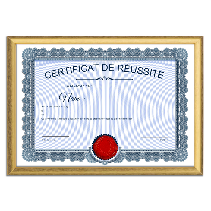 Mon diplome vierge : faux diplome personnalisé ancien bleu - Bien-stocker