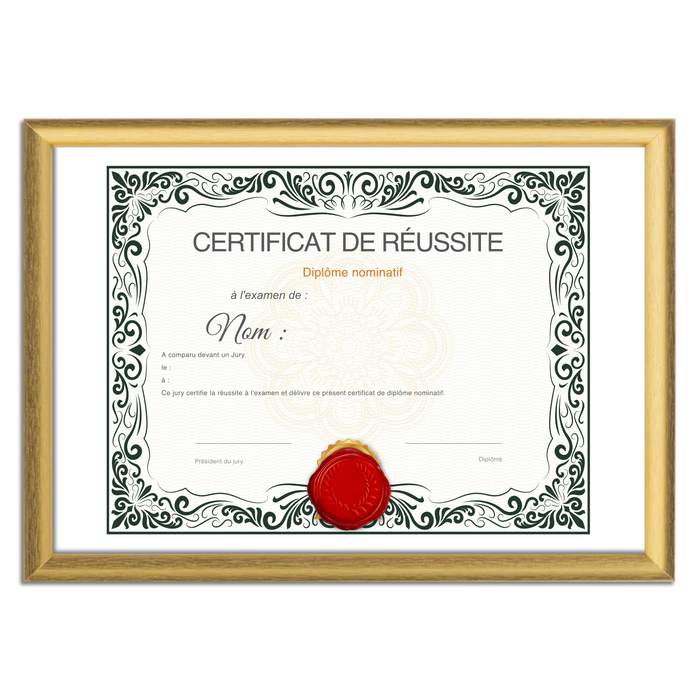 Mon diplome vierge : faux diplome personnalisé, faux diplom art - Bien-stocker