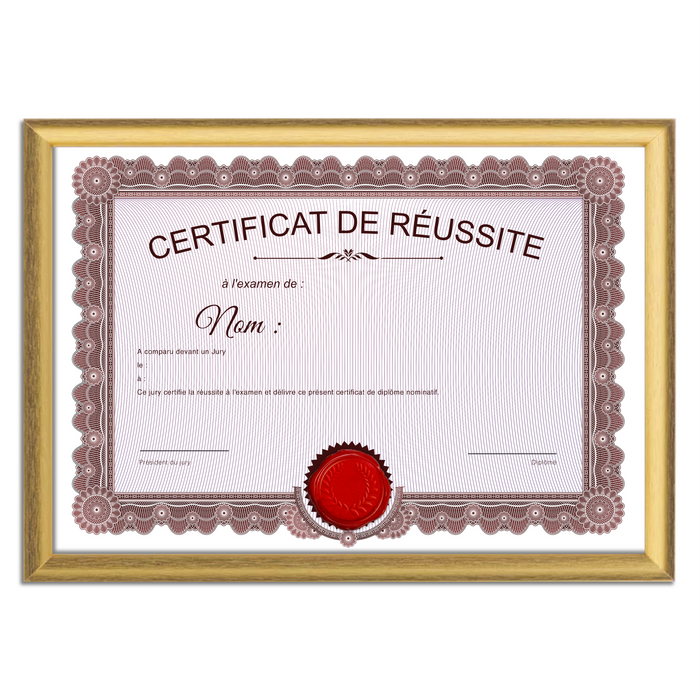 Mon diplome vierge : faux diplome personnalisé ancien rouge - Bien-stocker