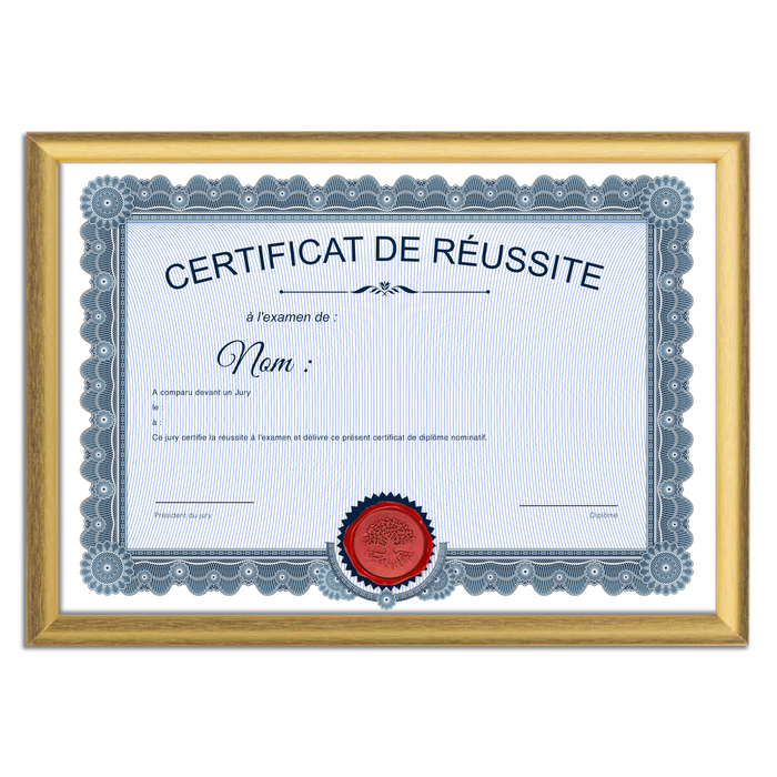 Mon diplome vierge : faux diplome personnalisé ancien bleu - Bien-stocker