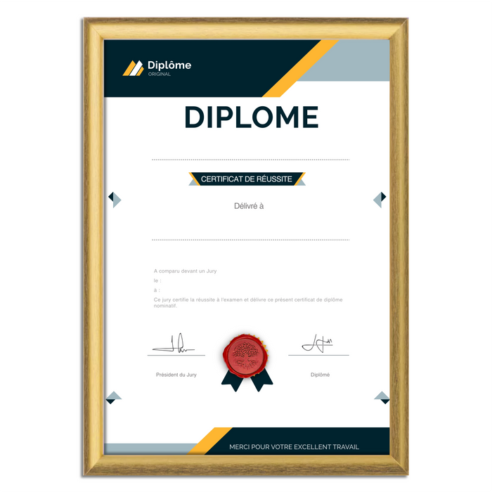 Mon diplome vierge : faux diplome personnalisé DIPLOME NIVEAU 1 - Bien-stocker