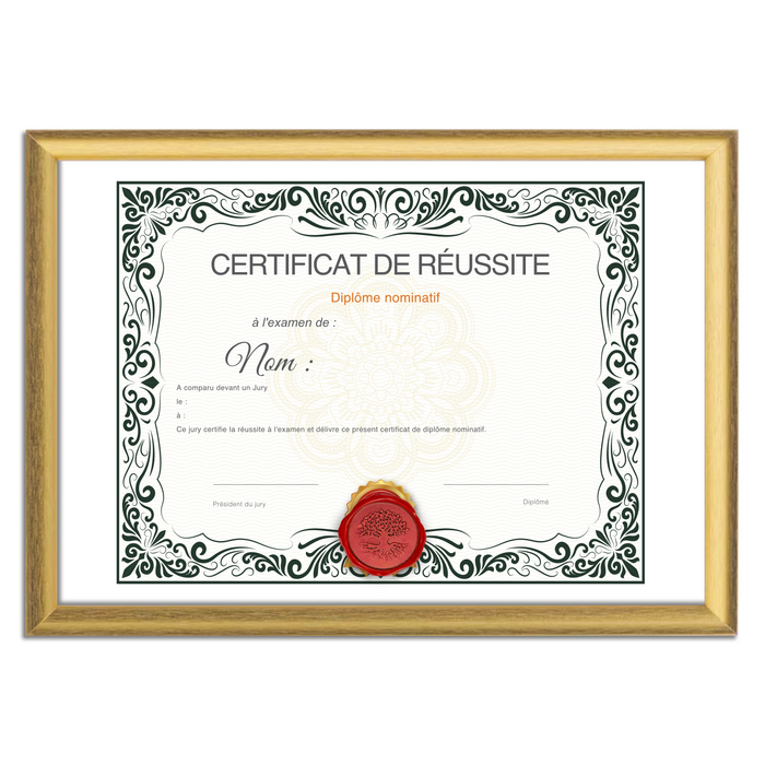 Mon diplome vierge : faux diplome personnalisé, faux diplom art - Bien-stocker