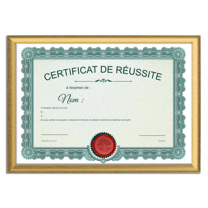 Mon diplome vierge : faux diplome personnalisé ancien vert - Bien-stocker