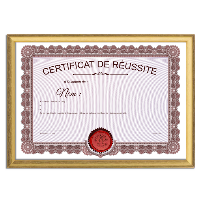 Mon diplome vierge : faux diplome personnalisé ancien rouge - Bien-stocker