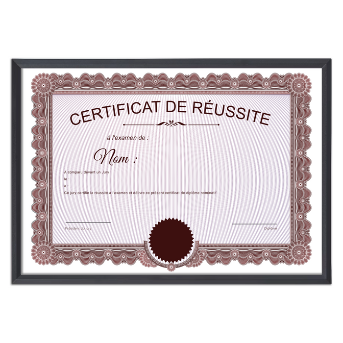 Mon diplome vierge : faux diplome personnalisé ancien rouge - Bien-stocker