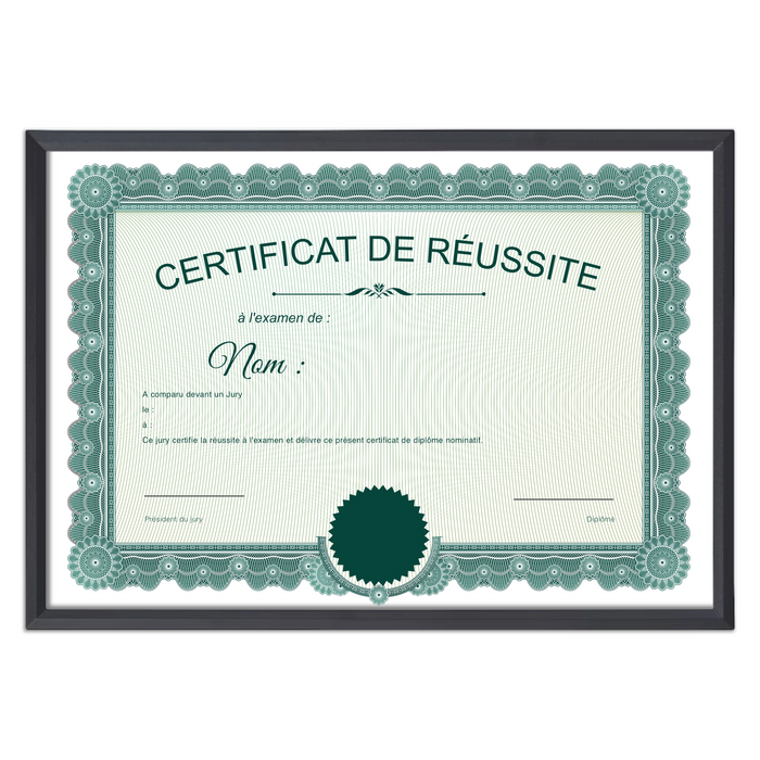 Mon diplome vierge : faux diplome personnalisé ancien vert - Bien-stocker