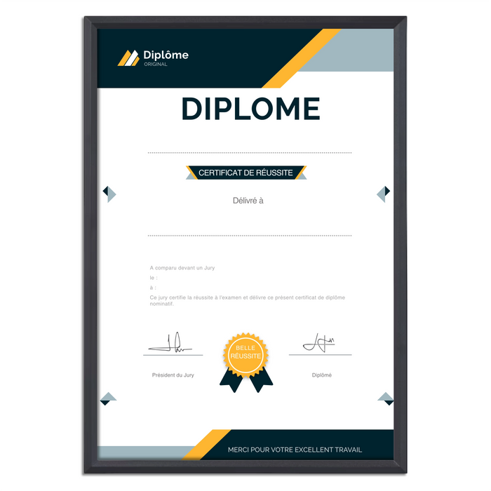 Mon diplome vierge : faux diplome personnalisé DIPLOME NIVEAU 1 - Bien-stocker
